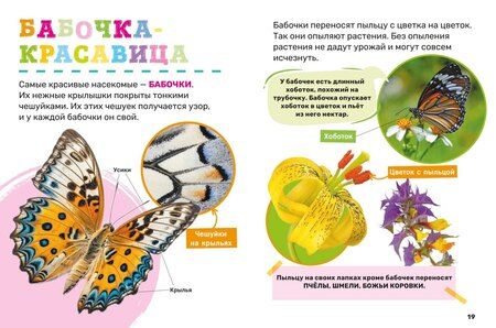 Фотография книги "Насекомые. Первая энциклопедия малыша"