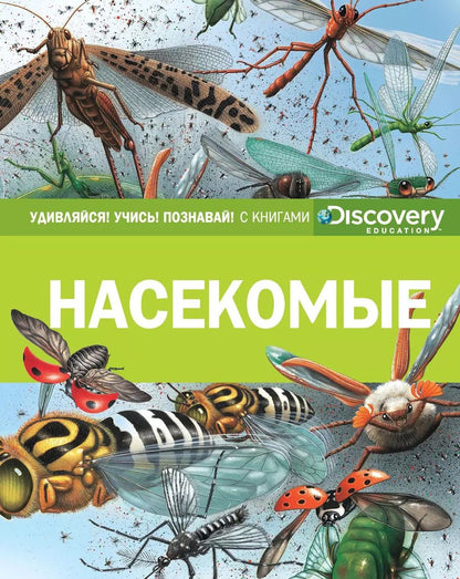 Обложка книги "Насекомые"