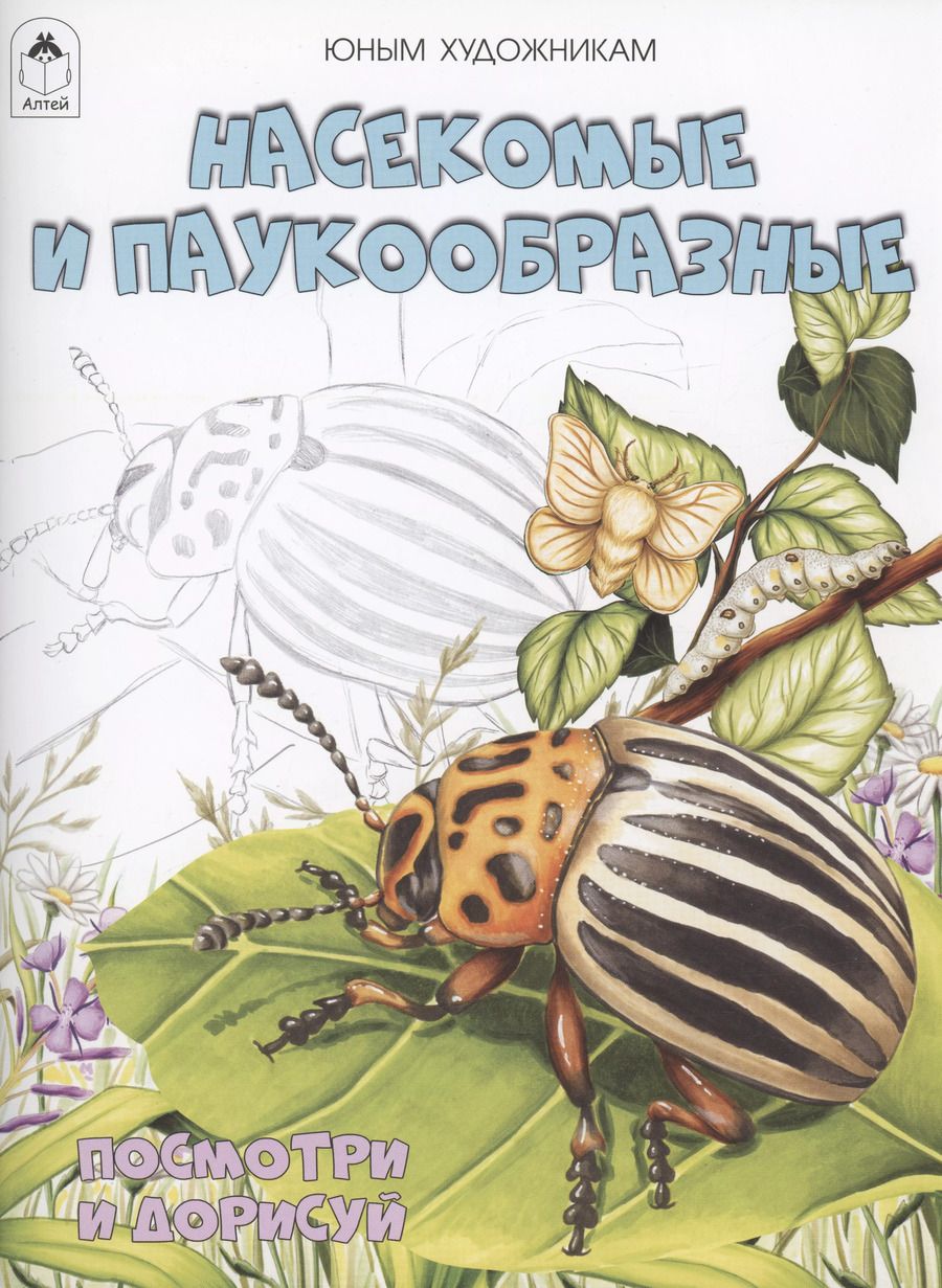 Обложка книги "Насекомые и паукообразные"