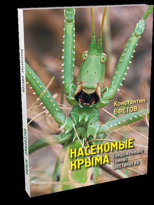 Обложка книги "Насекомые Крыма. Сокровенные тайны шестиногих"