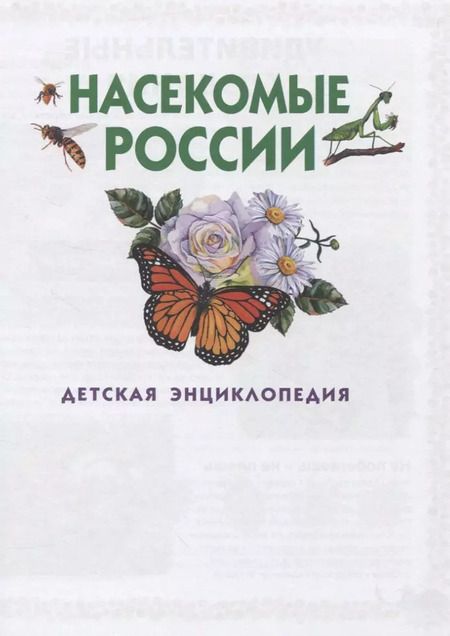 Фотография книги "Насекомые России. Детская энциклопедия"