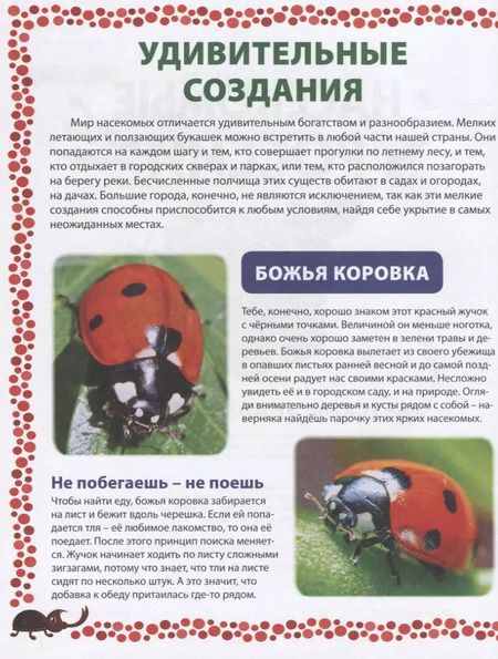 Фотография книги "Насекомые России. Детская энциклопедия"