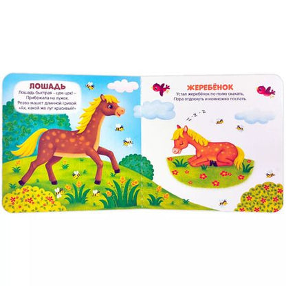 Фотография книги "Наша природа. Книжка-панорамка"