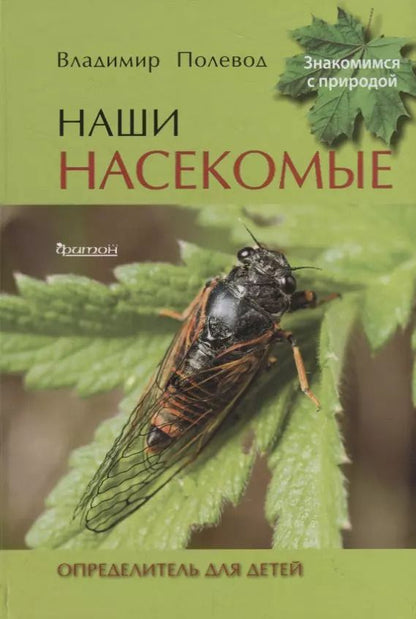 Обложка книги "Наши насекомые. Определитель для детей"
