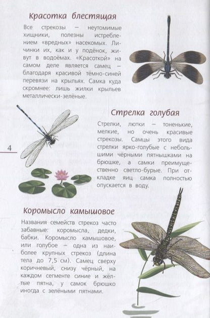 Фотография книги "Наши насекомые. Определитель для детей"