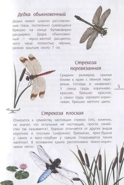 Фотография книги "Наши насекомые. Определитель для детей"