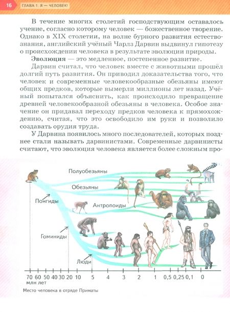 Фотография книги "Насонова, Соболева: Обществознание. 6 класс. Учебное пособие. ФГОС"