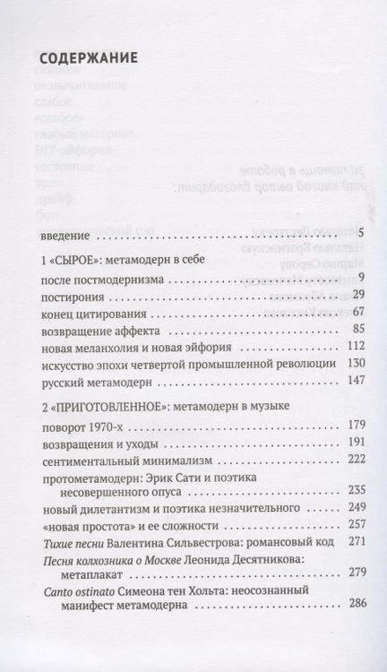 Фотография книги "Настасья Хрущева: Метамодерн в музыке и вокруг нее"