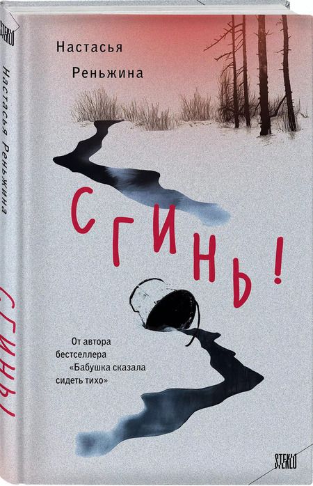 Фотография книги "Настасья Реньжина: Сгинь!: роман"