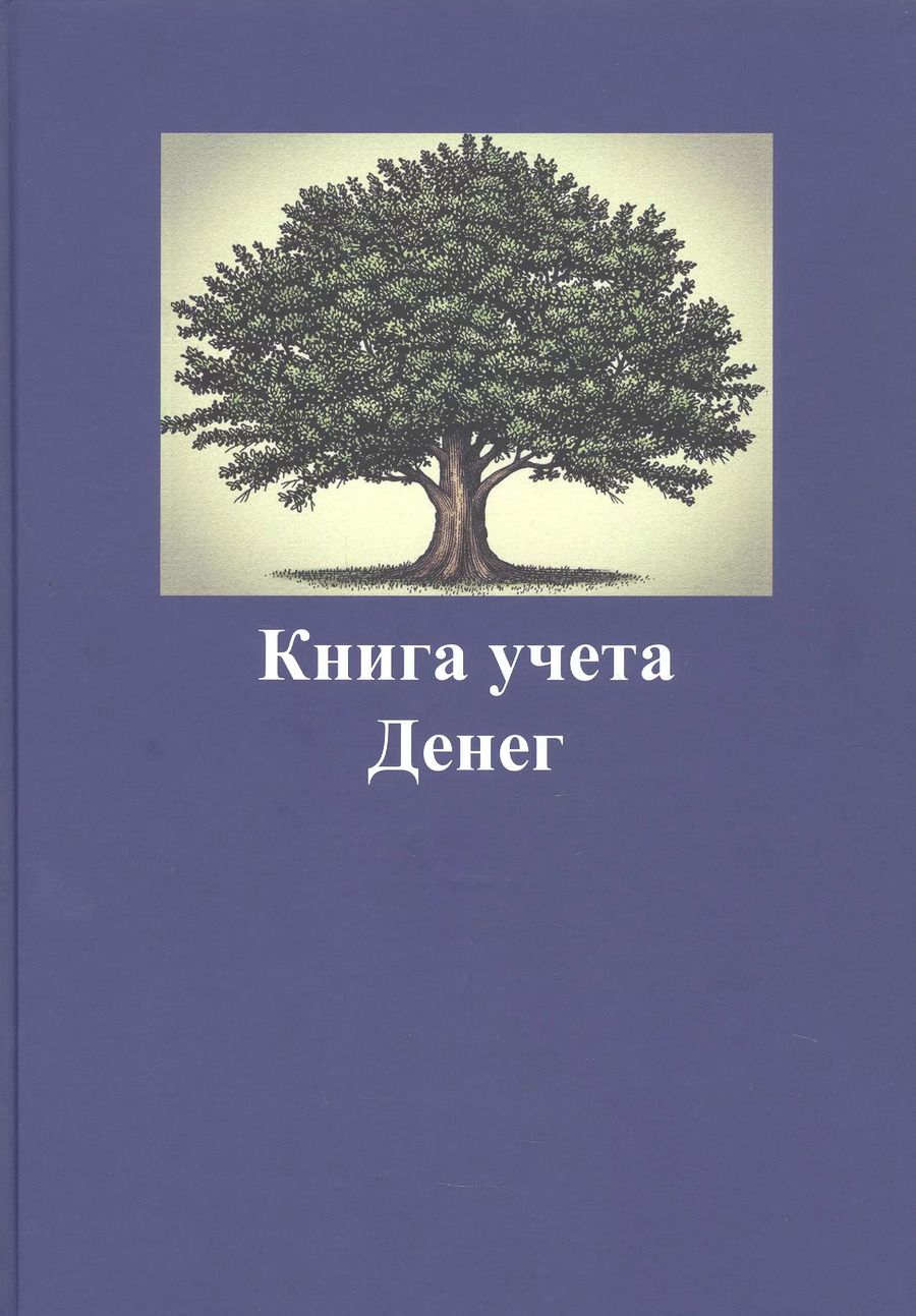 Обложка книги "Настя Свет: Книга учета денег"