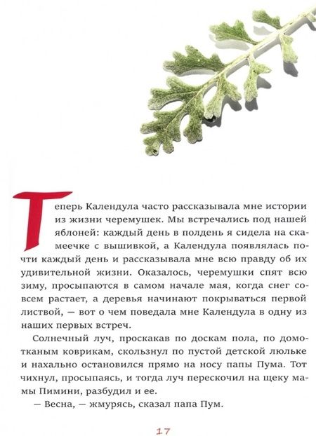 Фотография книги "Настя Томская: Черемушки"