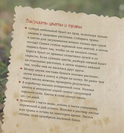 Фотография книги "Настя Томская: Черемушки"