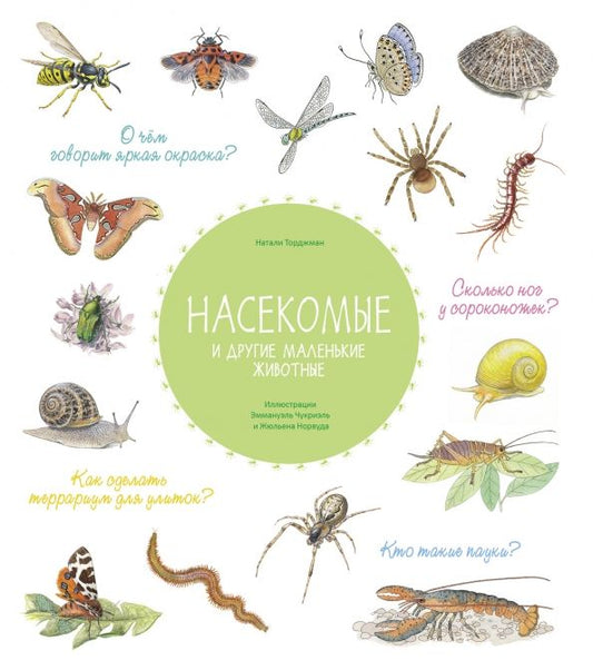 Обложка книги "Натали Торджман: Насекомые и другие маленькие животные"