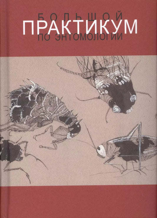 Обложка книги "Наталия Беляева: Большой практикум по энтомологии. Учебное пособие"