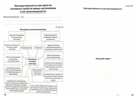 Фотография книги "Наталия Бодрова: Биология. 10-11 классы. Общая биология. Рабочая тетрадь. Базовый уровень. ФГОС"