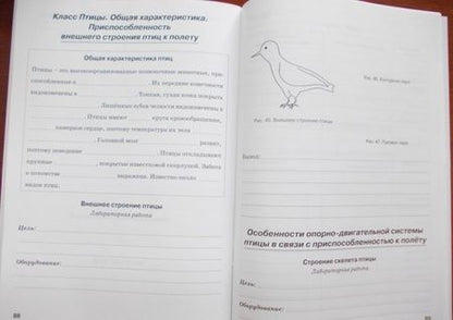 Фотография книги "Наталия Бодрова: Биология. 7 класс. Животные. Рабочая тетрадь. ФГОС"