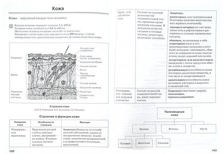 Фотография книги "Наталия Бодрова: Биология человека в таблицах и схемах. Человек и его здоровье"