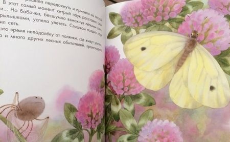 Фотография книги "Наталия Чуб: Два червячка"