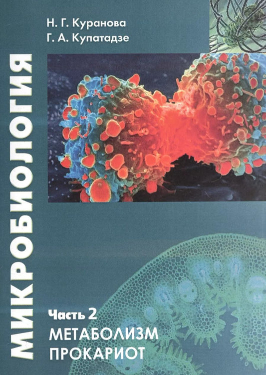 Обложка книги "Наталия Куранова: Микробиология. Часть 2. Прокариотическая клетка. Учебное пособие"