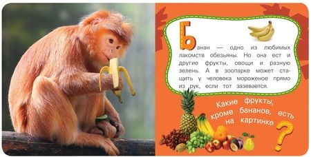 Фотография книги "Наталия Волкова: Обезьяна"