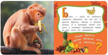 Фотография книги "Наталия Волкова: Обезьяна"