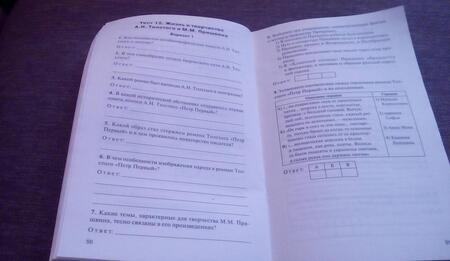 Фотография книги "Наталия Егорова: Контрольно-измерительные материалы. Литература. 11 класс . ФГОС"