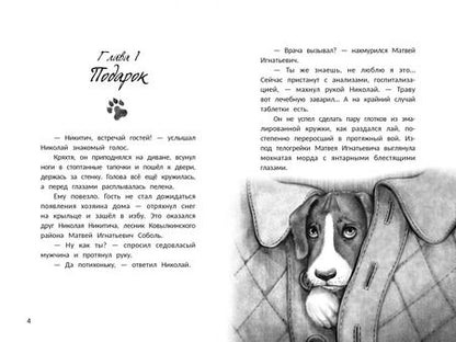 Фотография книги "Наталья Александровская: Музыка внутри"