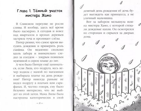 Фотография книги "Наталья Александровская: Питер и Лила ведет Расследование"