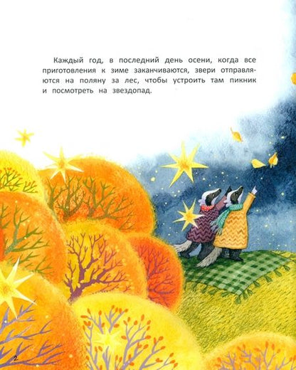 Фотография книги "Наталья Александровская: Звездопад для Клавы, или История о настоящей дружбе"