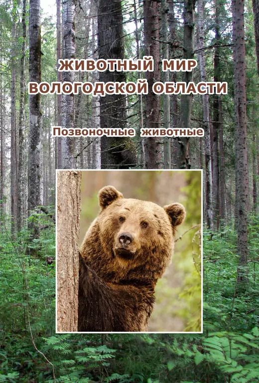 Обложка книги "Наталья Болотова: Животный мир Вологодской области. Позвоночные животные"
