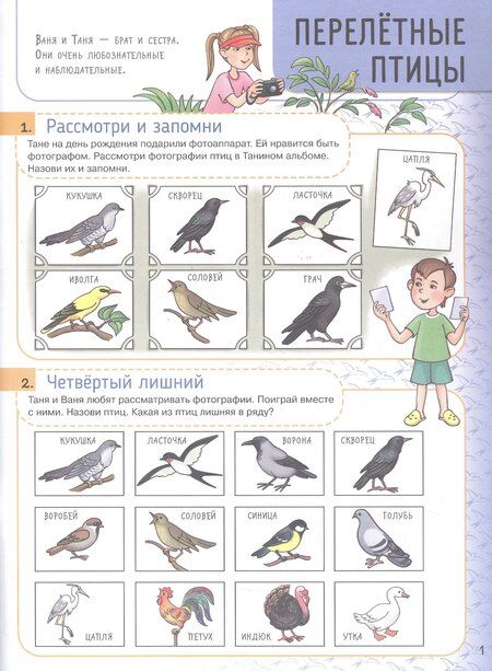 Фотография книги "Наталья Эрнестовна: Мультитренажер по развитию речи, внимания, памяти, мышления, восприятия. В четырех частях. Часть 4"