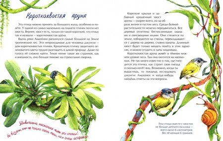 Фотография книги "Наталья Габеева: Птички-невелички. Кто на свете меньше всех?"