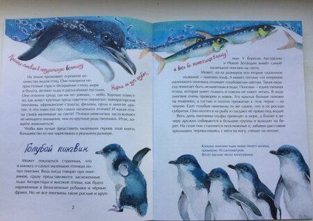 Фотография книги "Наталья Габеева: Птички-невелички. Кто на свете меньше всех?"