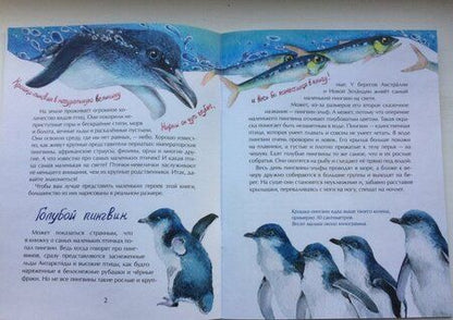 Фотография книги "Наталья Габеева: Птички-невелички. Кто на свете меньше всех?"