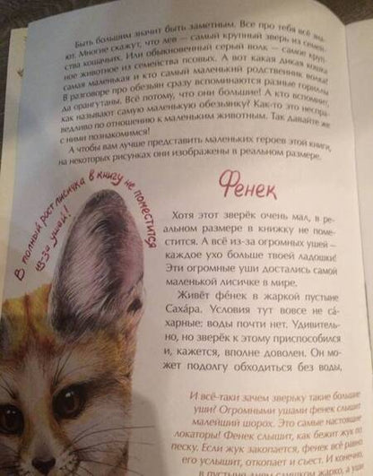 Фотография книги "Наталья Габеева: Животные-малютки. Кто на свете меньше всех?"