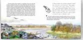 Фотография книги "Наталья Ключарёва: Мусор. Книга об экологии"
