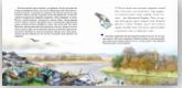 Фотография книги "Наталья Ключарёва: Мусор. Книга об экологии"