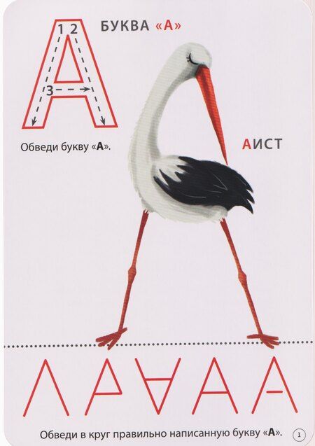 Фотография книги "Наталья Константиновна: Учим буквы. Пиши - стирай"