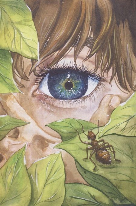 Фотография книги "Наталья Кошеленко: Про муравьёв. Стихосказание"