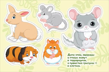 Фотография книги "Наталья Котятова: Домашние питомцы. Альбом многоразовых наклеек для самых маленьких"