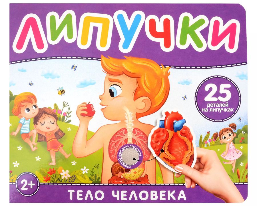 Обложка книги "Наталья Котятова: Тело человека. Книга с липучками"