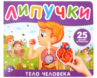 Обложка книги "Наталья Котятова: Тело человека. Книга с липучками"