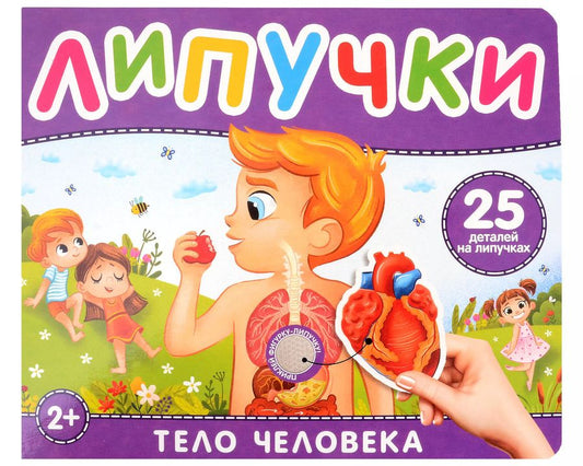 Обложка книги "Наталья Котятова: Тело человека. Книга с липучками"