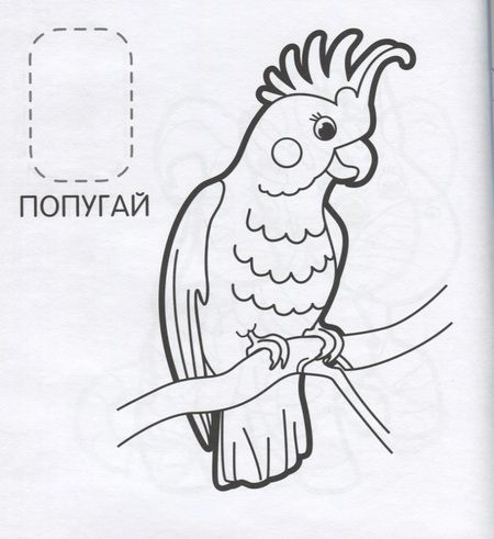 Фотография книги "Наталья Котятова: Удивительные животные"