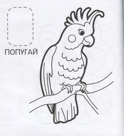 Фотография книги "Наталья Котятова: Удивительные животные"