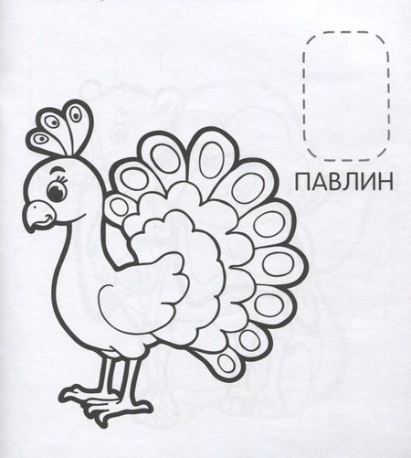 Фотография книги "Наталья Котятова: Удивительные животные"