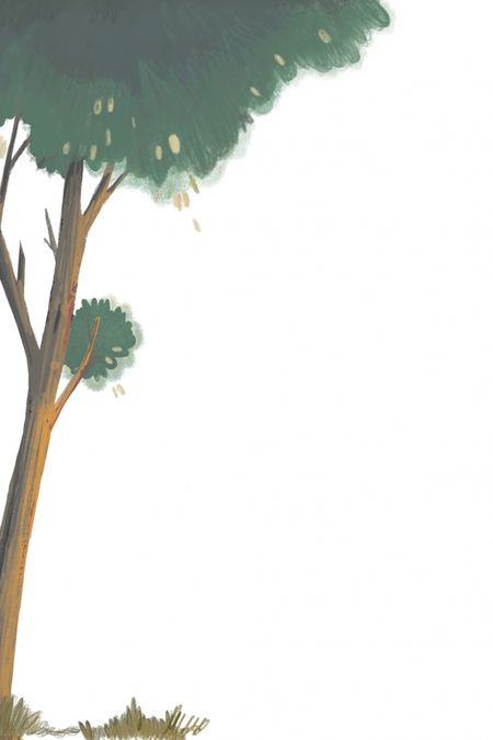 Фотография книги "Наталья Кудрякова: Ребус профессора Персиянова"