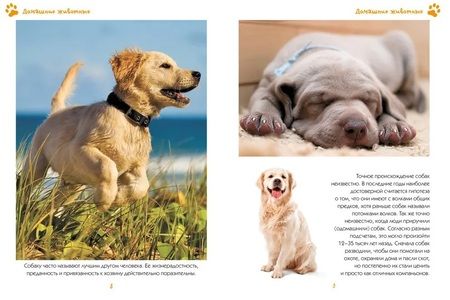 Фотография книги "Наталья Куйе: Моя любимая книга о животных"