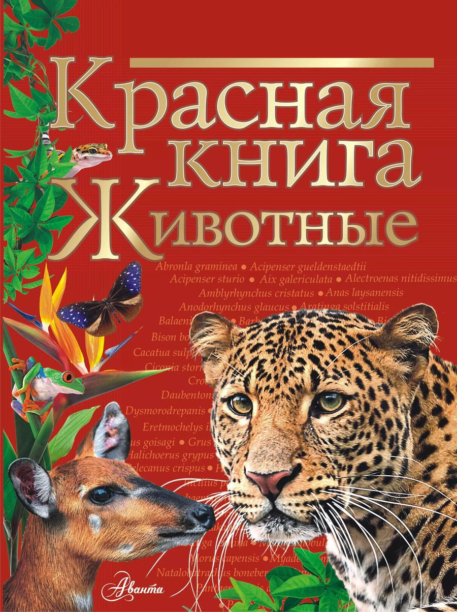 Обложка книги "Наталья Куксина: Красная книга. Животные"