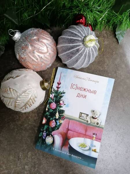 Фотография книги "Наталья Литтера: Снежные дни"
